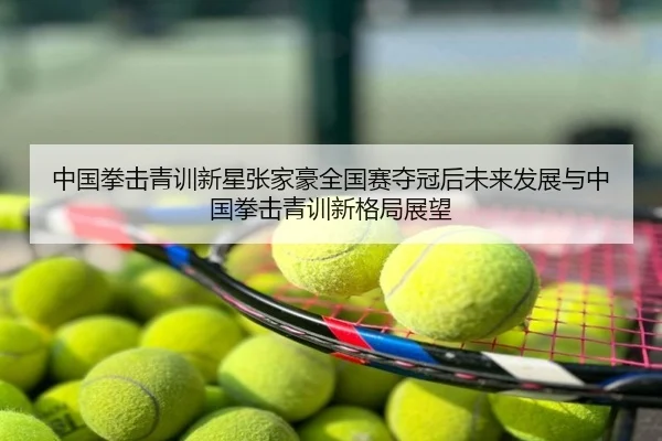 中国拳击青训新星张家豪全国赛夺冠后未来发展与中国拳击青训新格局展望